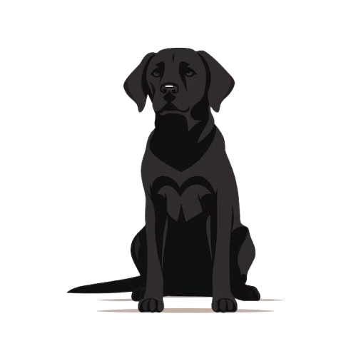 labradores